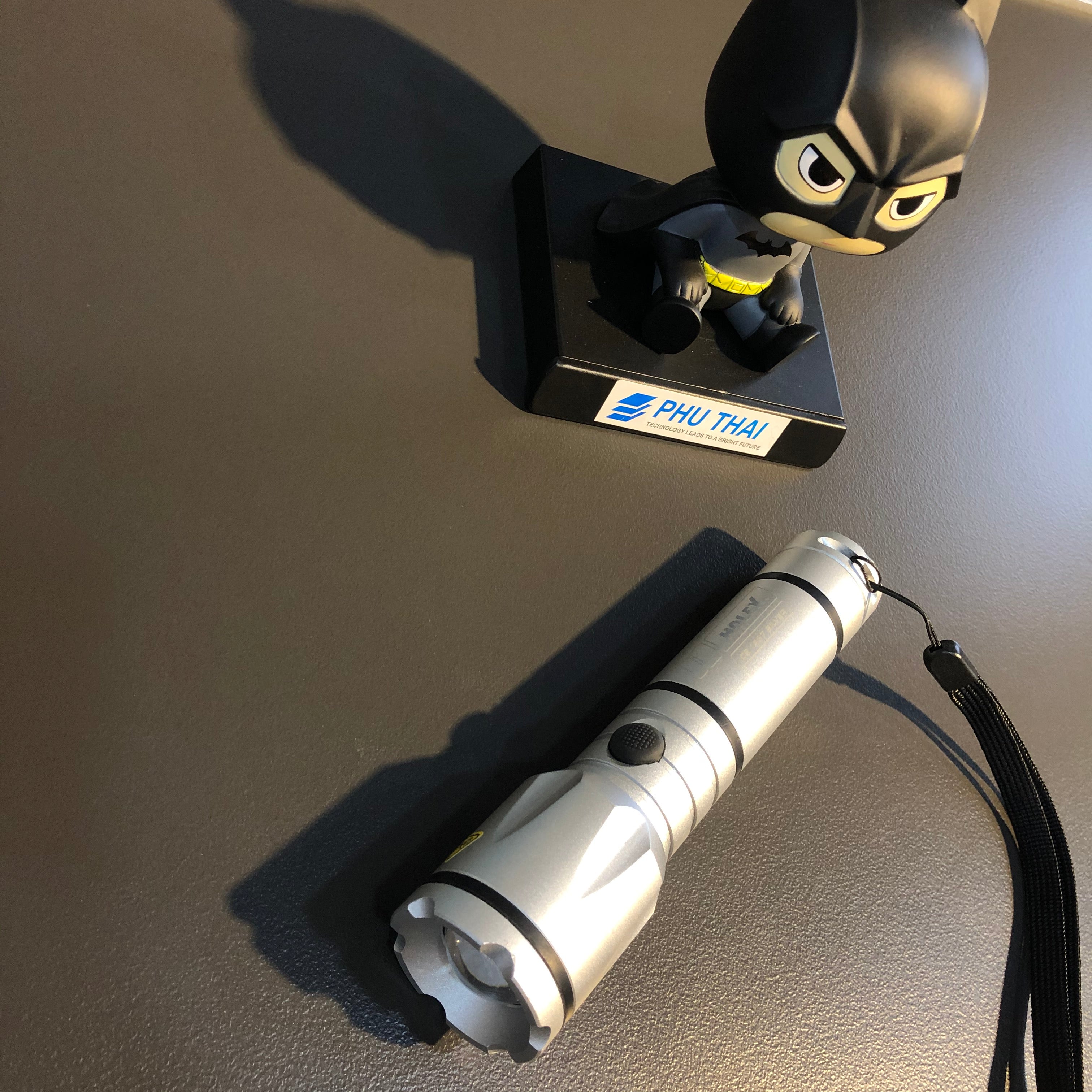 ĐÈN PIN CHIẾU SÁNG CÔNG NGHIỆP HOLEX 081437 SILVER