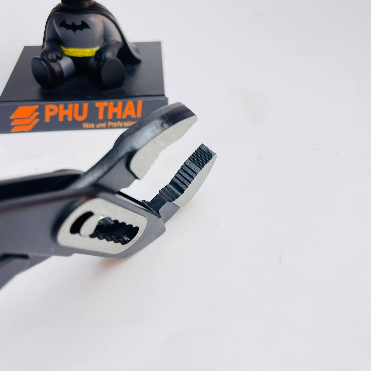 Kìm mỏ quạ Holex dài 250mm