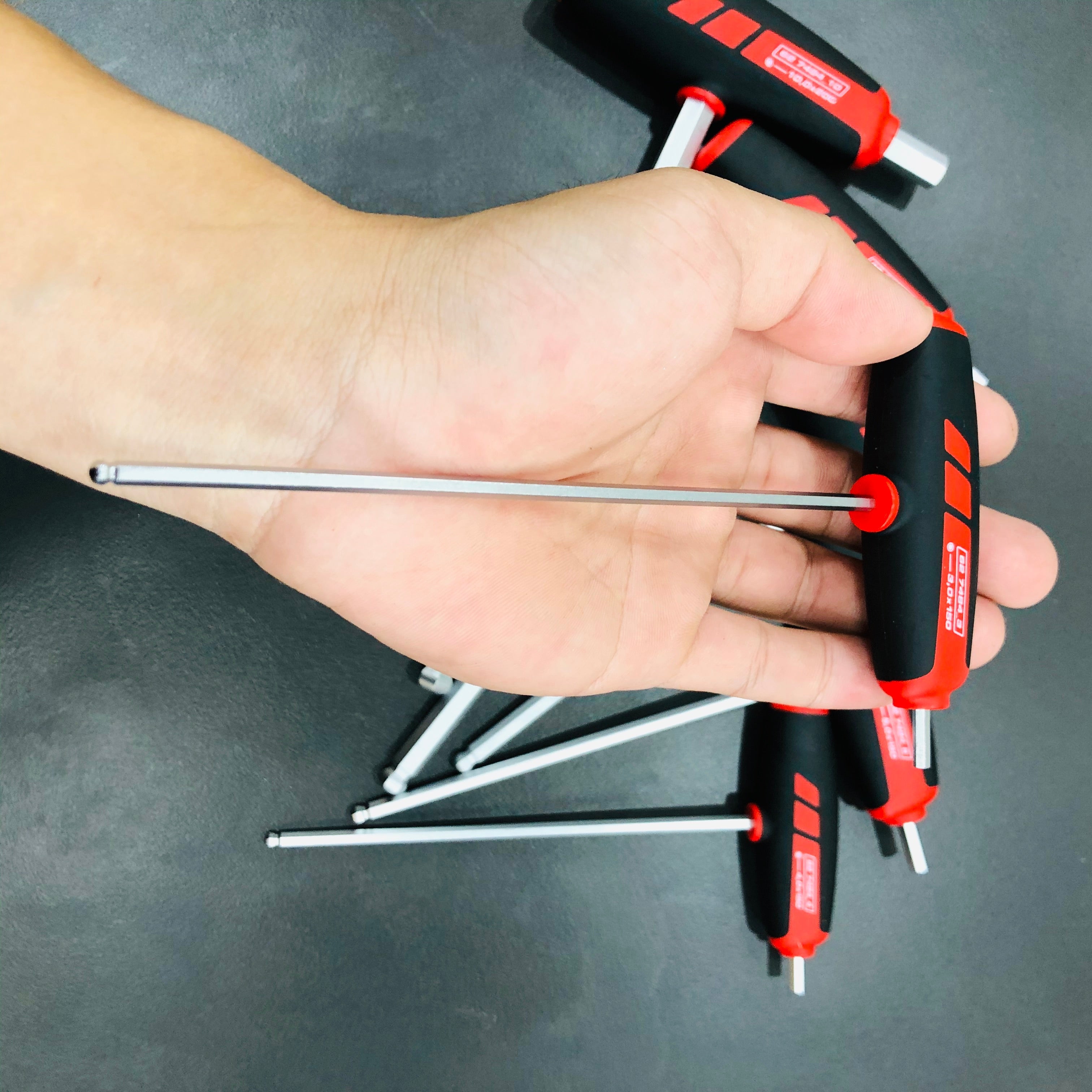 BỘ LỤC GIÁC ĐẦU BI TAY CẦM CHỮ T HOLEX 6 CHI TIẾT