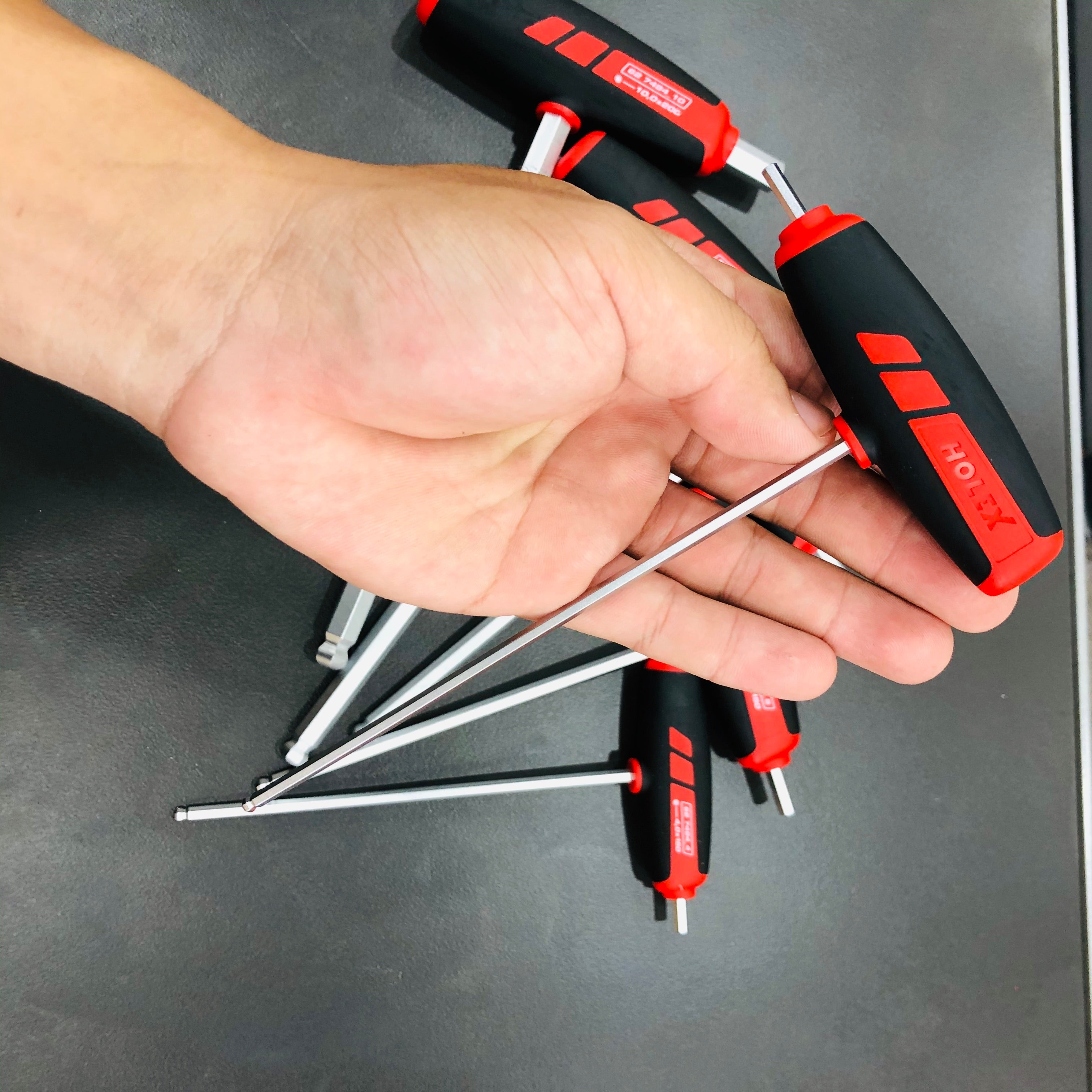 BỘ LỤC GIÁC ĐẦU BI TAY CẦM CHỮ T HOLEX 6 CHI TIẾT