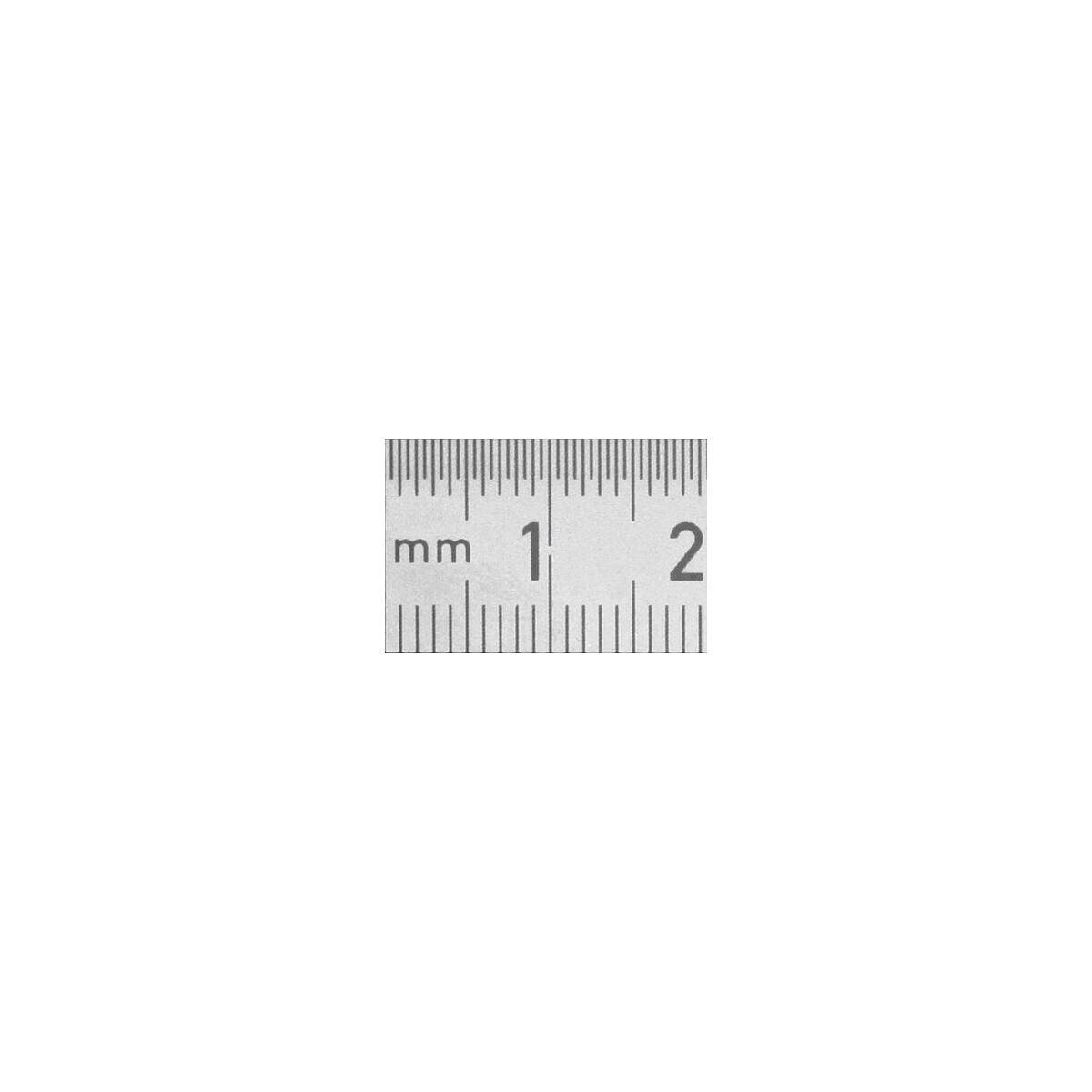 THƯỚC LÁ DÀI 100MM HOLEX | 100