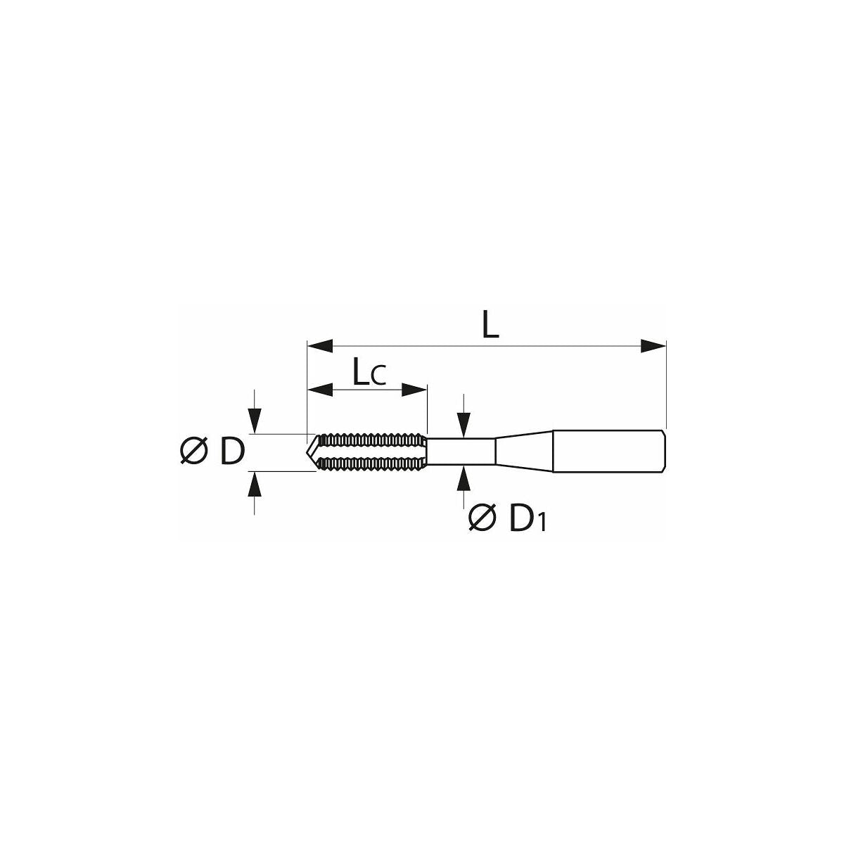 Mũi taro dạng bit M8 x 1,25 Holex