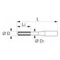 Mũi taro dạng bit M8 x 1,25 Holex